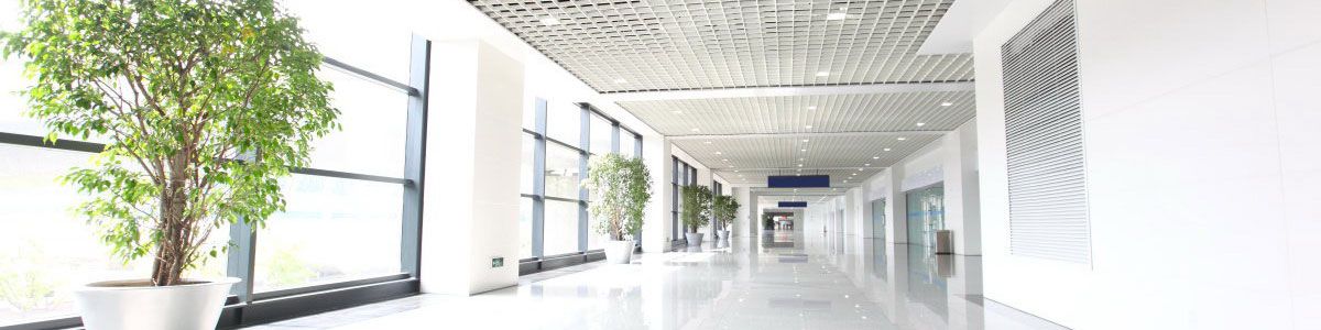  Tenemos hoteles y otros negocios en Dos Hermanas. TAURUS GESTION DE INVERSIONES  en Dos Hermanas